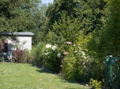 50 tys. zł dotacji dla działkowców. Ale są warunki