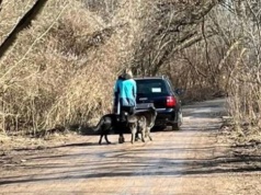 Nerwowo na Sadybie. Gdy ich psy się pogryzły, zasugerowała jej... wizytę u psychiatry