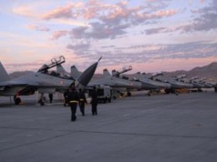 Wyznaczyli 175 myśliwców. Wszystkie czeka ten sam los