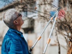 Pielęgnacja trawnika i rabat w marcu. Jak obudzić ogród po zimie?