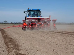 Jak wiosną ogrzać glebę?