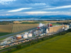 Local content kołem zamachowym rozwoju polskich firm