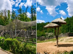 Wyjątkowe zoo bez krat w Europie. To tylko 3 godziny od Polski