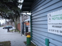 Becikowe za adopcję psa. Bezdomne zwierzęta z gminy Chojnice dostają wyprawkę