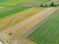 Dopłaty 2025 przyspieszają. Kto dostał pieniądze jako pierwszy?