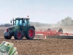 Ile kosztuje ziemia klasy IIIb i IV? Sprawdzamy aktualne ceny gruntów rolnych