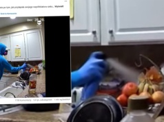 Trafili do szpitala z uszkodzonymi wątrobami. Po przejrzeniu monitoringu poznali straszną prawdę