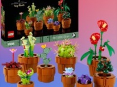 Zestaw LEGO ICONS Małe roślinki już za 139 zł (cena kat. 214,99 zł) w Amazon PL