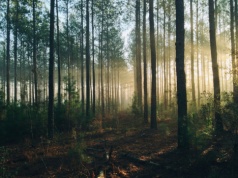 Wiemy, co jedli prehistoryczni Polacy. Fenomenalne badanie na Kujawach