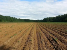 Ceny ziemi rolnej 2025. Gdzie hektar kosztuje prawie 100 tys. zł, a gdzie nieco ponad 43 tys. zł?