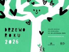 Finaliści konkursu Drzewo Roku 2026 w Polsce