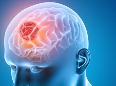 Komórki odpornościowe robią coś dziwnego, aby powstrzymać pasożyta mózgu