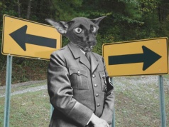 Naziści Schrödingera albo czy Hitler był lewakiem