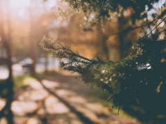 Pogoda na poniedziałek. Ciepły początek słonecznego tygodnia