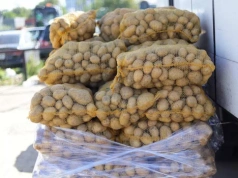 Blisko 180 tys. ton ziemniaków trafiło do Polski. Kto kontroluje niemal 60% importu?