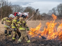 Rozległy pożar traw w Jędrzychowie