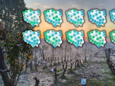 Pogoda nie zmieniła się całkowicie. Zimowe akcenty wciąż obecne