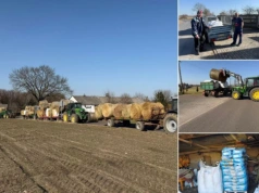 Stracił oborę i 20 byków w kilka godzin. Rolnicy nie zostawili ich samych