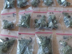 Biała Podlaska: policjanci zabezpieczyli blisko 300 porcji dealerskich narkotyków. Zatrzymany 31-latek z zarzutami