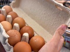 Tak oszukują nas producenci jajek. Kontrola ujawniła ogromną skalę