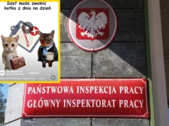 Ministerstwo traktuje Polaków jak dzieci. Reklama nowego programu w oparach absurdu