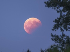 Wyjątkowe zjawisko na nocnym niebie. Czy Krwawy Księżyc będzie widoczny?