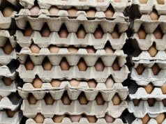 Miliard dolarów inwestycji w globalnego producenta jaj. Firma szykuje ekspansję