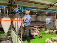 Prosięta na piętrze, wynik w Excelu. Odchowalnia, w której każdy detal pracuje na efekt