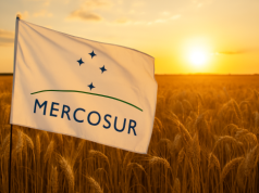 Copa-Cogeca: UE otwiera drzwi dla Mercosur. „Zapłacą za to europejscy producenci”