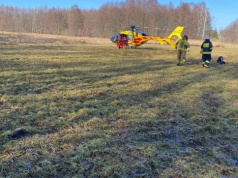 Mężczyzna ranny podczas wycinki drzew w gminie Rudniki