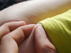 Nie lekceważ ich. Te owady są już aktywne i równie groźne, co kleszcze