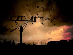 W Rzeszowie i okolicach znów zabraknie prądu. Sprawdźcie listę wyłączeń energii elektrycznej