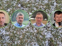 Pszenicy jarej może zabraknąć? Eksperci radzą: nie zwlekaj z zakupem