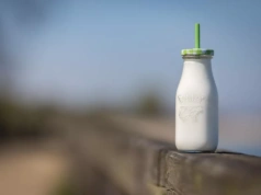 Światowy rynek mleka w kryzysie?! Jak globalna produkcja wpływa na cenę w Polsce?