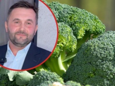 33 tys. roślin na hektar. Brokuł to niełatwy biznes