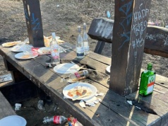 Mieszkanka Bielan domaga się likwidacji altan pod lasem. Mówi o libacjach i... strzałach z broni