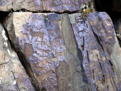 Ekspedycja na Syberię doprowadziła do odkrycia petroglifów. To symbole mające tysiące lat