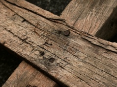 Irański konwertyta: byłem więziony, nazywali mnie „psem”, musiałem uciec z kraju