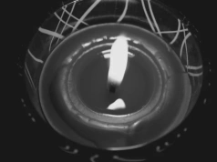 Nie żyje gwiazdor „Misia” i „Czterdziestolatka”. Świat filmu opłakuje legendę