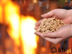 Przez ten nawyk przy czyszczeniu piece na pellet coraz częściej się psują