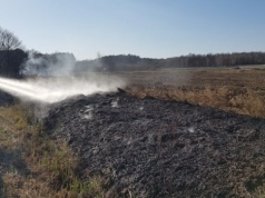 Płoną pierwsze trawy w tym sezonie. Strażacy ostrzegają: to nie sprzątanie, to igranie z ogniem