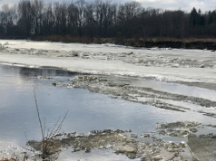 Możliwe gwałtowne wzrosty poziomu Bugu. Wydano ostrzeżenie hydrologiczne