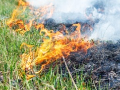 Pierwsze w tym roku wypalanie traw. Strażacy apelują o rozwagę i odpowiedzialność