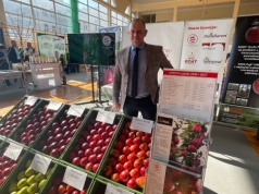 Wszystko o jabłkach i nie tylko