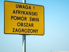 1,8 miliarda złotych. Tyle kosztowały nas choroby zakaźne zwierząt w 2025 roku