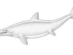 Polacy odkryli wodne monstrum. Rybojaszczur żył nad Wisłą