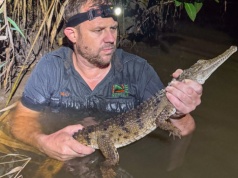 Wystraszony 12-latek zadzwonił do mamy. Wszyscy myśleli, że to żart