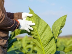 Umowa z Mercosur i 8 mld poza budżetem. Kto broni polskich rolników?