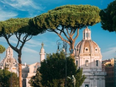 Władze Rzymu podjęły drastyczną decyzję. Chodzi o wiekowe sosny w okolicy Koloseum