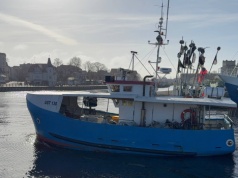 Bunt rybaków przeciwko ustawie. Rząd zaostrza kontrolę połowów, armatorzy mówią o absurdzie